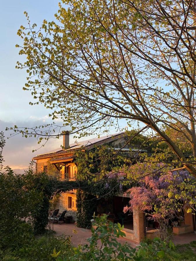 Agriturismo Solidor Pitigliano Dış mekan fotoğraf