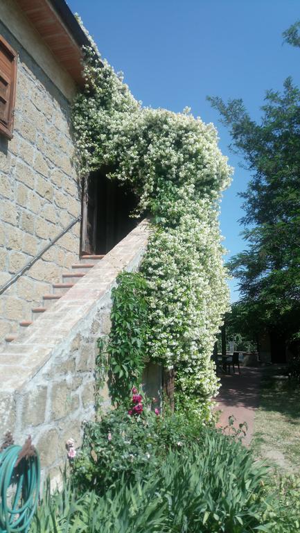 Agriturismo Solidor Pitigliano Dış mekan fotoğraf
