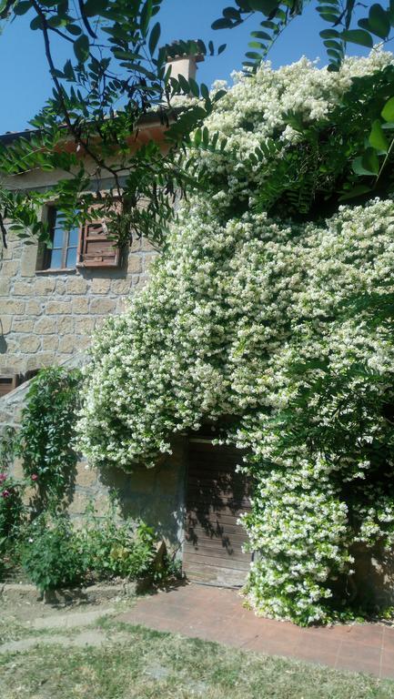 Agriturismo Solidor Pitigliano Dış mekan fotoğraf